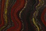 Polished Tiger Iron Stromatolite - Billion Years #129259-1